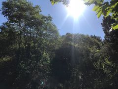 -仙居谷风景区