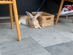 -RAC BAR(安福路店)