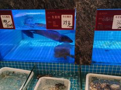 -潮州府·潮菜·砂锅粥(徐家汇店)