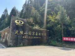 -武陵山森林公园
