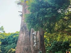 -青青世界