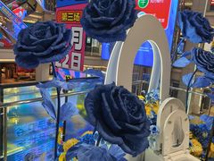 -红星美凯龙北京至尊MALL(东四环中路店)