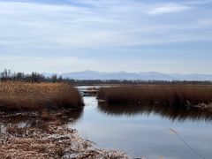 -野鸭湖国家湿地公园