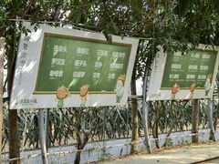 -米果果小镇