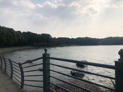 -美兰湖景区