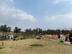 -两河城市森林公园
