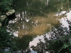 -成都杜甫草堂博物馆