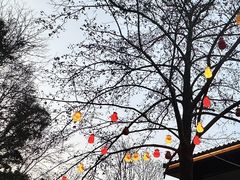 -灵顺寺