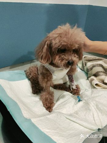 哎。前几天带她到这家医院来看，看病配药两千多