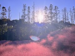 -嘉北郊野公园