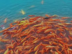 -楠溪江风景名胜区