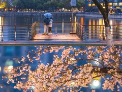 -西北湖绿化广场