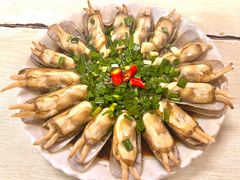 葱油蛏子-温州一家人美食(西木头市店)