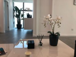 -芙芬芳·半永久纹眉（深圳旗舰店）