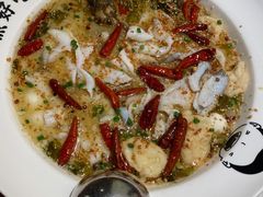 老坛酸菜鲈鱼-江渔儿酸菜鱼(奥园广场金发购物中心店)