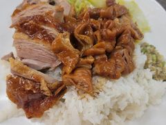 卤水猪大肠饭-港福茶餐厅(深圳湾科技园区店)