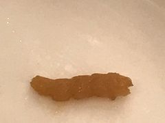 -老码头火锅(玉林店)