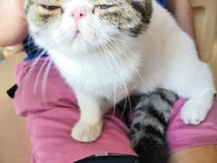 -瞄一喵猫咖(格力海岸店)