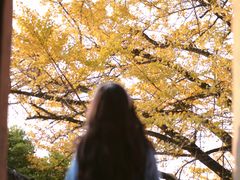 -佛荫寺