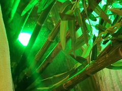 -火舞泰·泰式海鲜火锅餐厅(世纪城店)