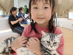 -COLOR PETS 撸猫馆·购猫·猫咖(长风大悦城店)