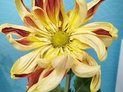 -陶然亭公园南门停车场