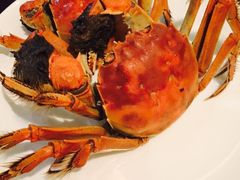 -富力万达嘉华酒店-美食汇西餐厅