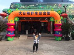 -上海大自然野生昆虫馆(东方明珠·爬宠昆虫探索中心)