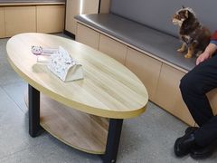 -瑞派伍一宠物医院·眼科·骨科·猫科转诊中心(马王堆院)