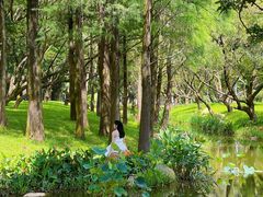 -人民公园(罗湖区)