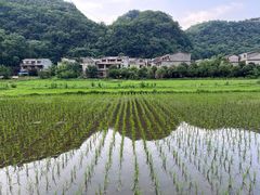-高荡千年布依古寨旅游景区