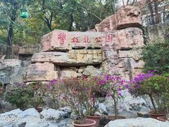 -攀枝花公园
