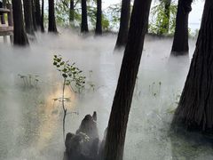 -东湖落雁景区