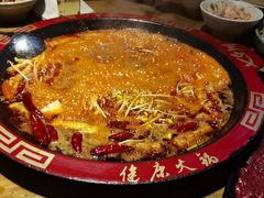 -七里川健康火锅(总店)