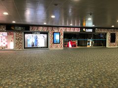 -日上免税行(浦东机场五店)