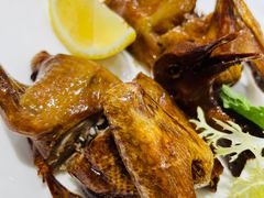 -凤城礼记鱼翅海鲜酒家(新马路总店)