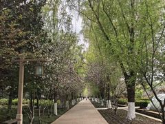 -洛阳市隋唐城遗址植物园