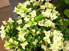 -比斯特上海购物村精品奥特莱斯
