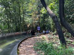 -岳麓山风景名胜区