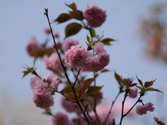 -金海湾滨江公园