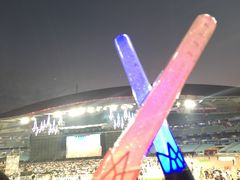 -南京奥林匹克体育中心-体育馆