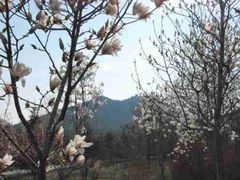 -青州云门山风景区