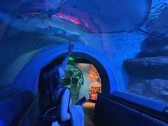 -上海海洋水族馆