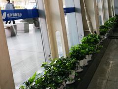 -威海大水泊国际机场