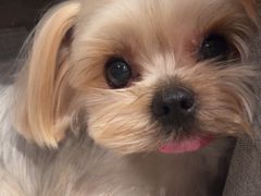 -园里火锅(仁和新城店)