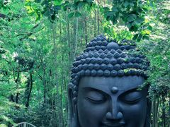 -杭州植物园