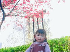 -乌山风景区