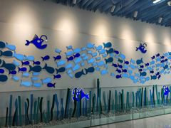 -新荟城(望京店)