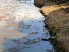 -银涛高尔夫练习场(徐泾店)