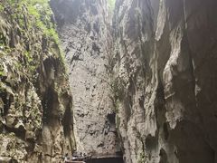 -武陵山森林公园